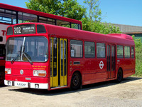 Great Yeldham Bus Museum Open day 2014
